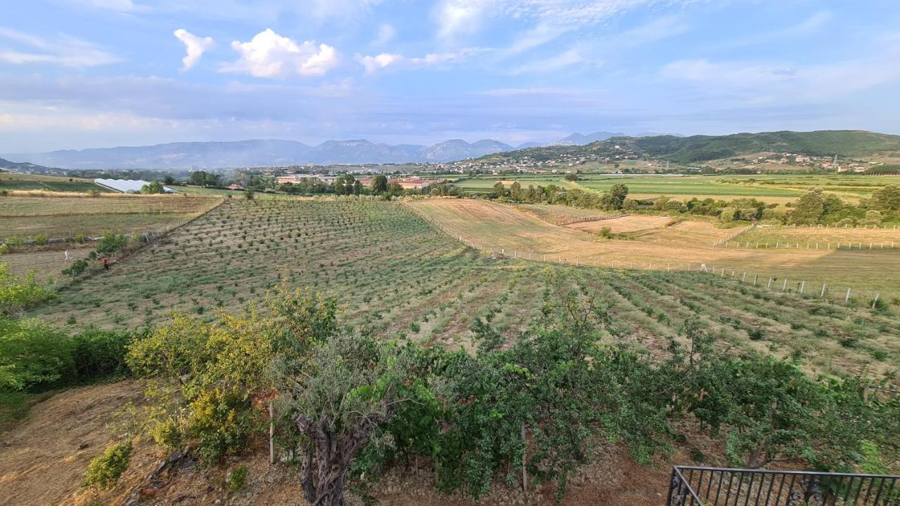 "Kasneci Residence" Countryside Villa With A Pool Tiran Dış mekan fotoğraf